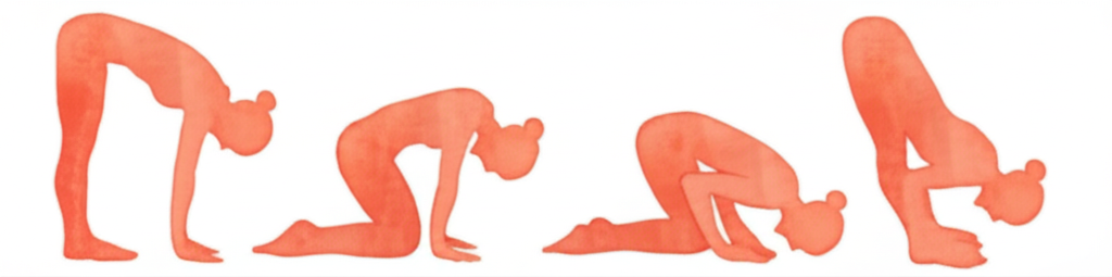 고양이-소 흐름 동작 시퀀스