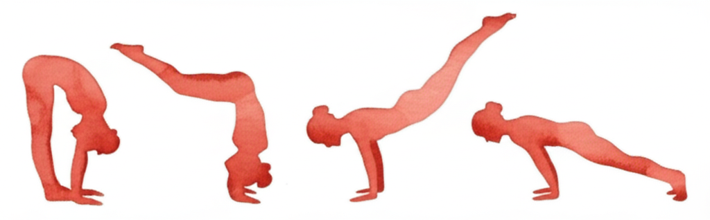 반딧불 자세 동작 시퀀스