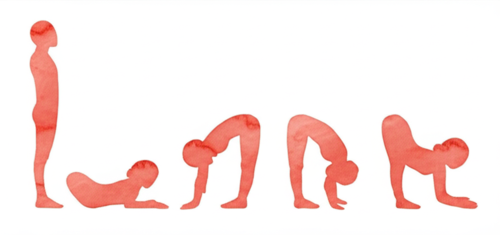 왕 비둘기 자세 동작 시퀀스