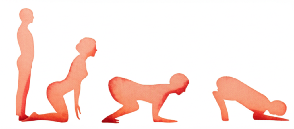 사자 자세 동작 시퀀스