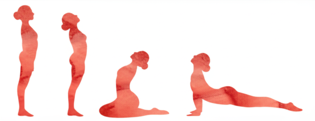 원숭이 자세 동작 시퀀스