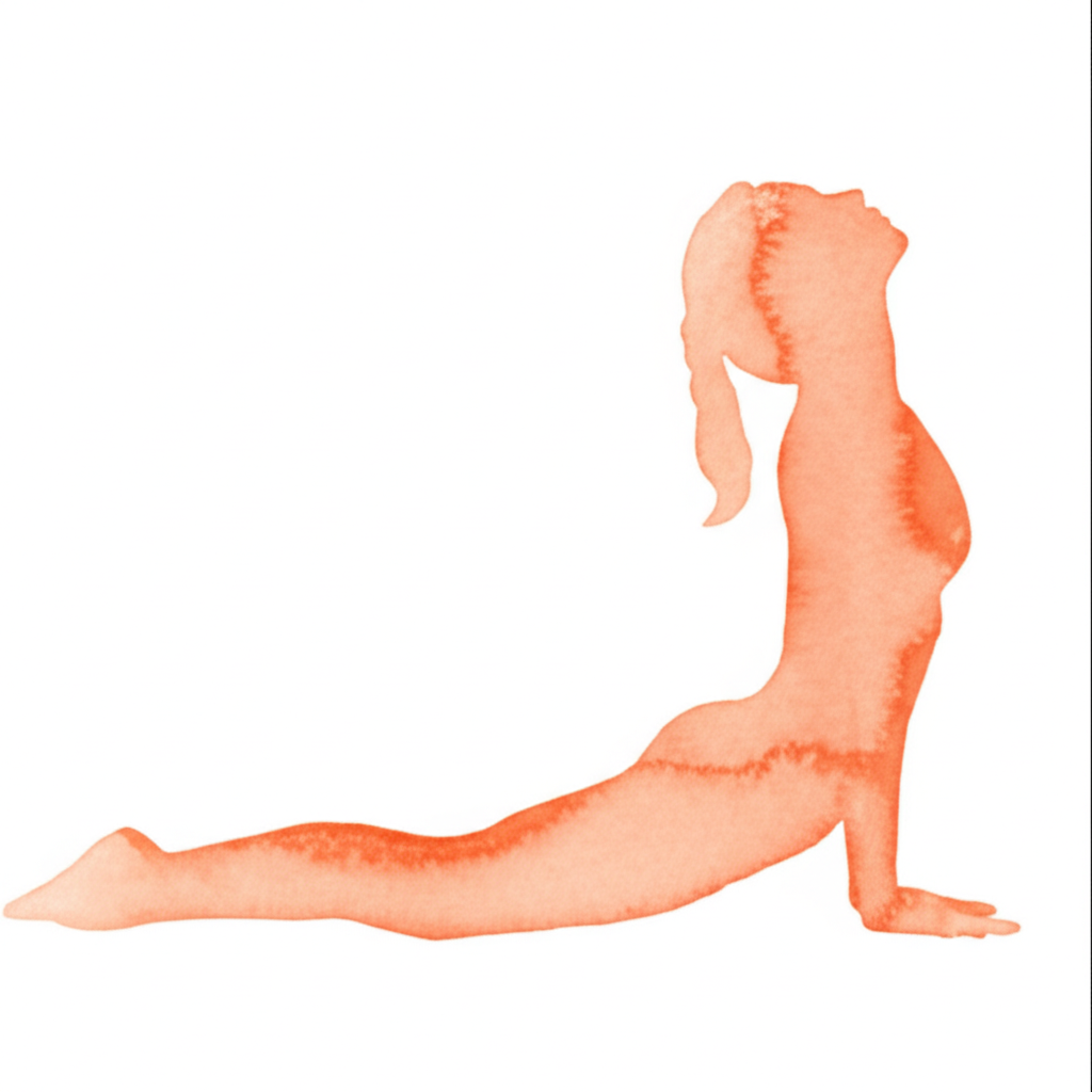 고양이-소 흐름