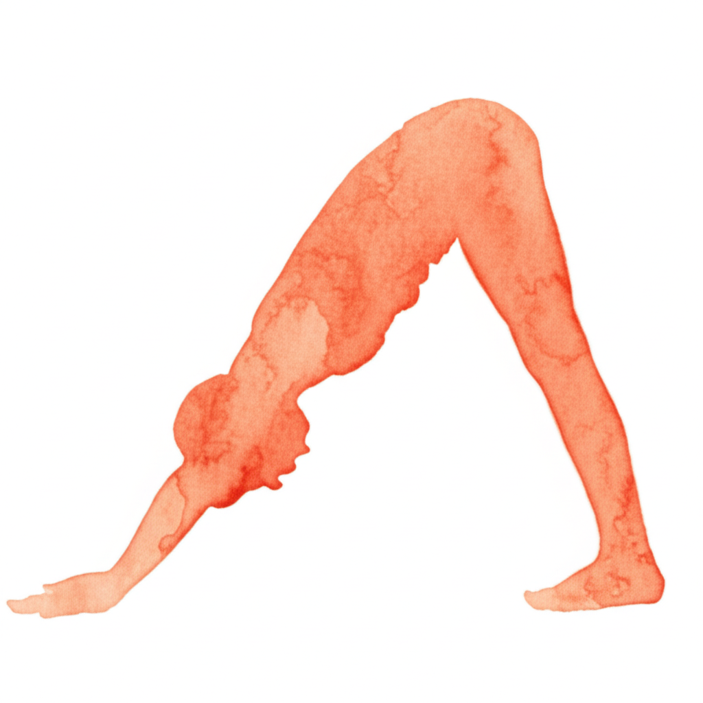 아래를 향한 개 자세