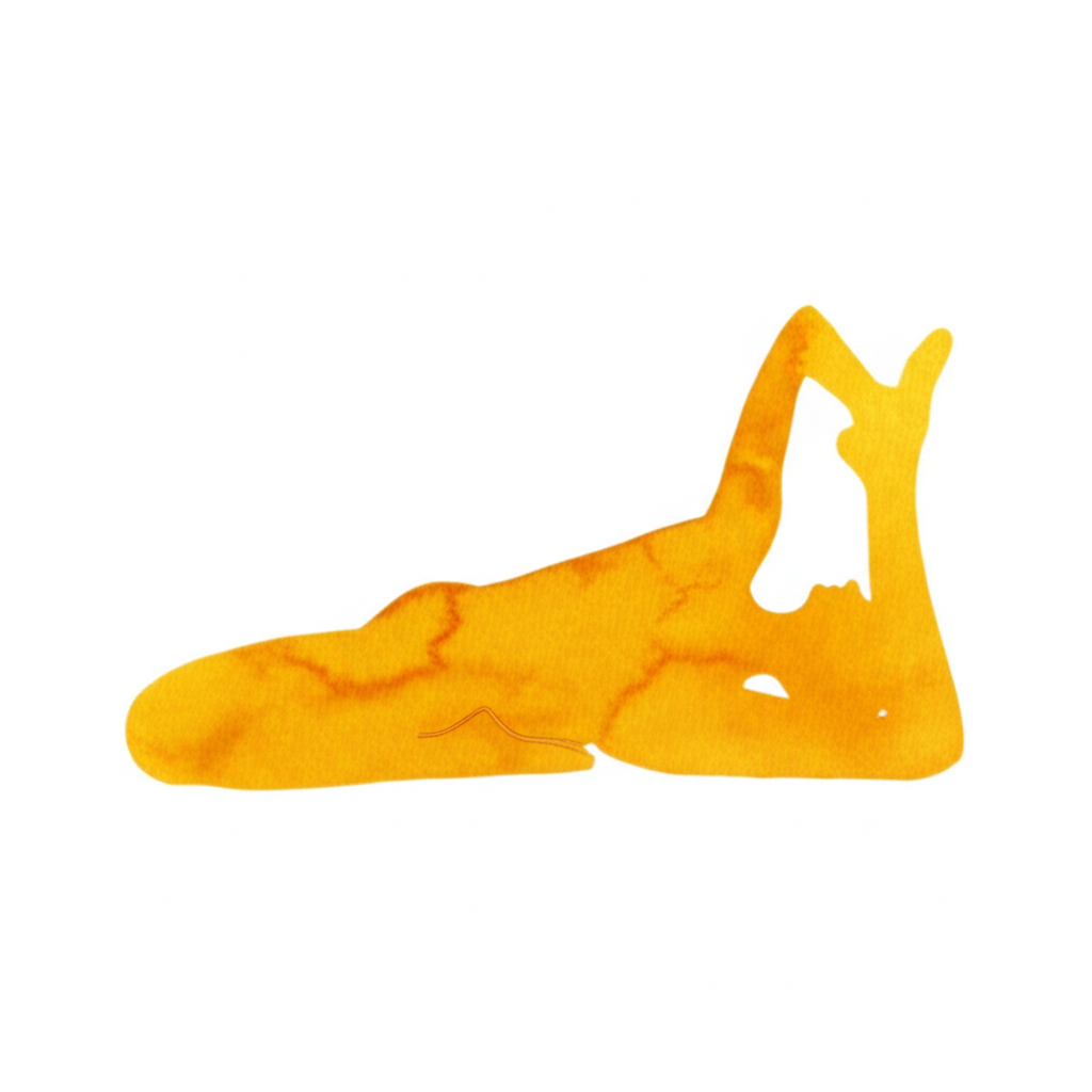 잠자는 백조 자세