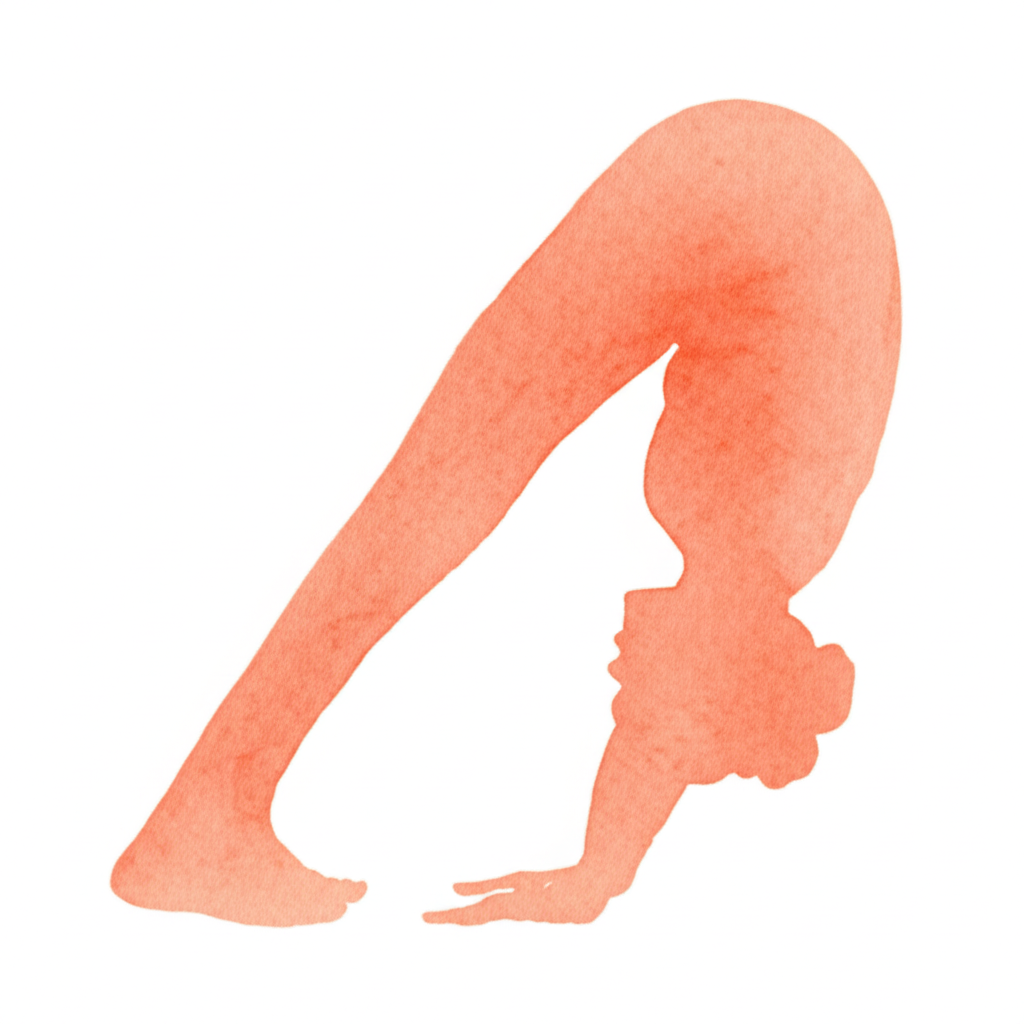 넓은 다리 전굴