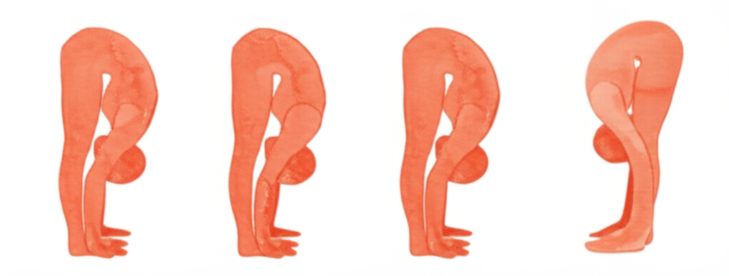 넓은 다리 전굴